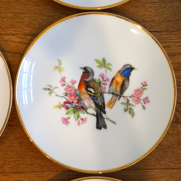 Vintage Set of Six Birds and Botanical Unique China Plates - Picture 4 of 8